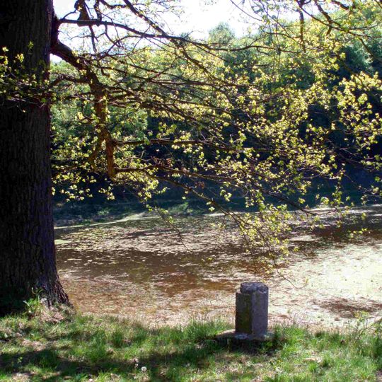 Gipskarstlandschaft Questenberg