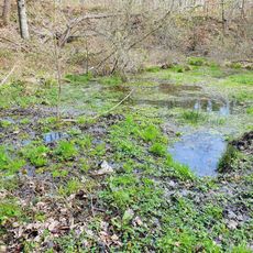 Sohle der Breitenbacher Kiesgrube
