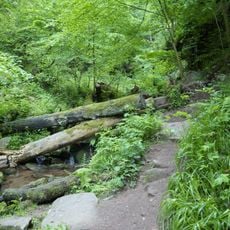 Wolfschlucht