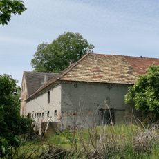 Naturdenkmal Winterlinde (Tilia cordata) neben ehemaliger Gaststätte Saalgebäude, südlich in Grünewald