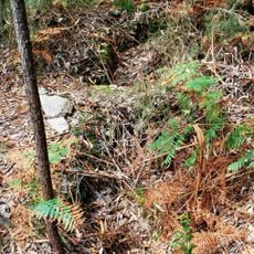 Castro de Tralocastro