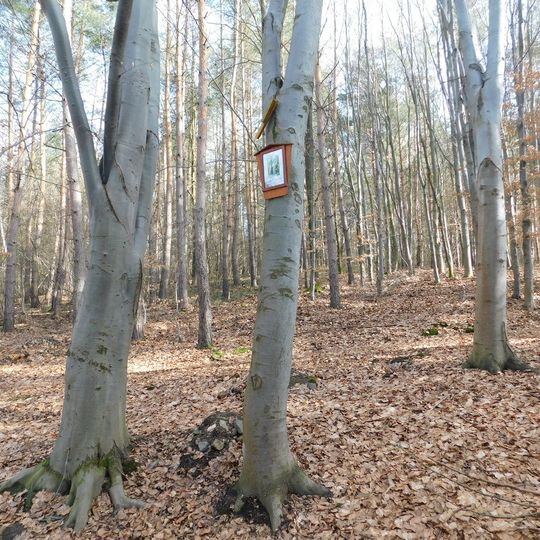 2. zastavení křížové cesty Ondřejov - Kaliště