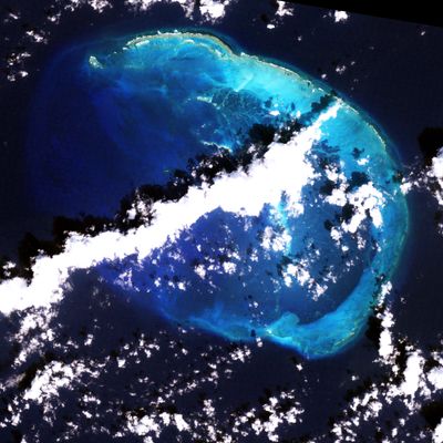 Aerial View 0