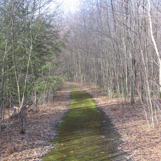 Wykoff Run Natural Area