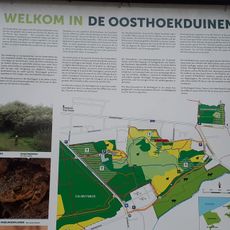 Oosthoekduinen
