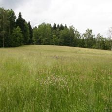 Steinbergwiesen und Seifenbachtal
