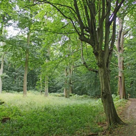 Hoddesdon Park Wood moated site, Hoddesdon