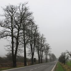 Alej Turnov-Sedmihorky