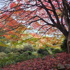 Pirianda Garden