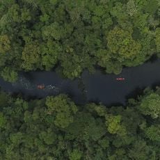 Parque das Neblinas