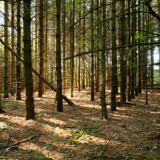 Aire de conservation Cold Creek