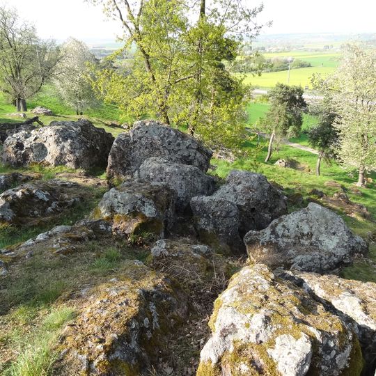 Basaltmagerrasen am Rand der Wetterauer Trockeninsel