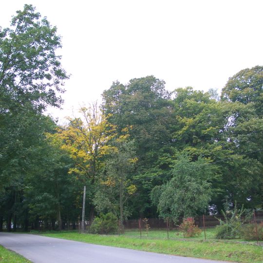 Manor in Bażanówka