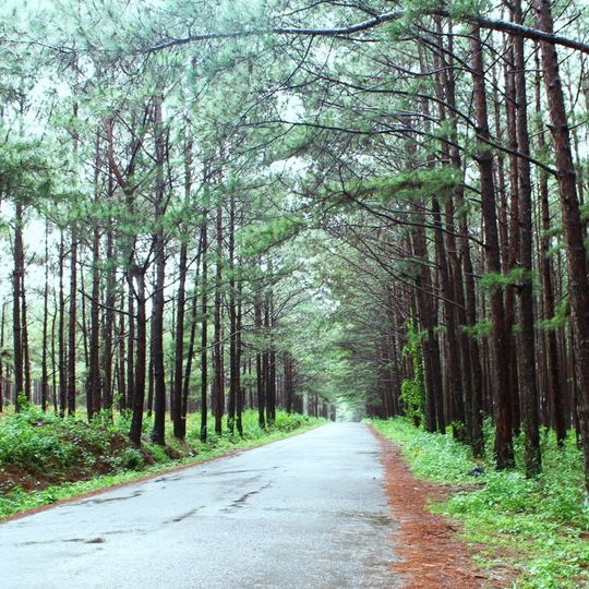 District de Đơn Dương