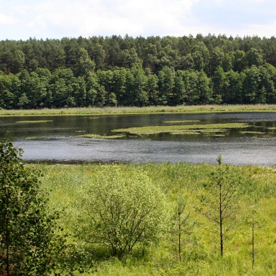 Nature reserve Miedzno