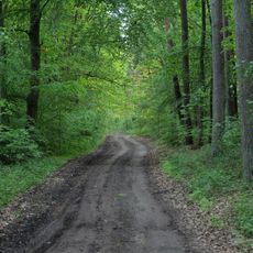 Poratzer Moränenlandschaft