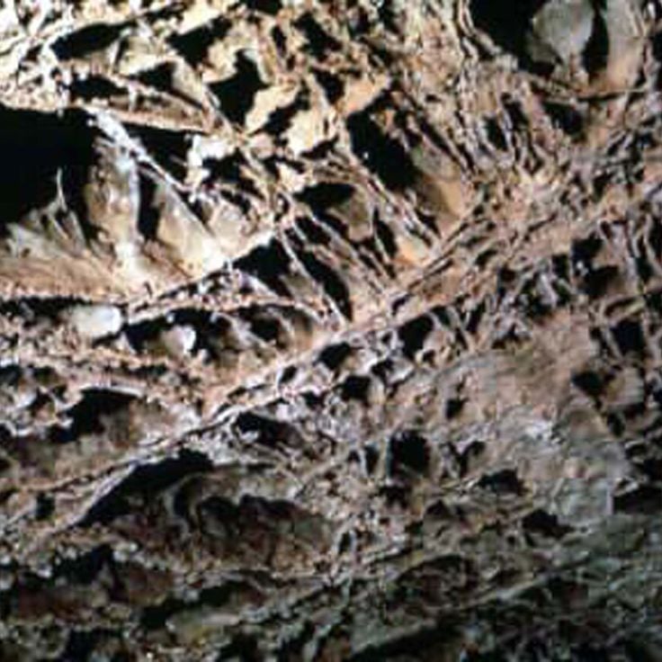 Parc National de Wind Cave