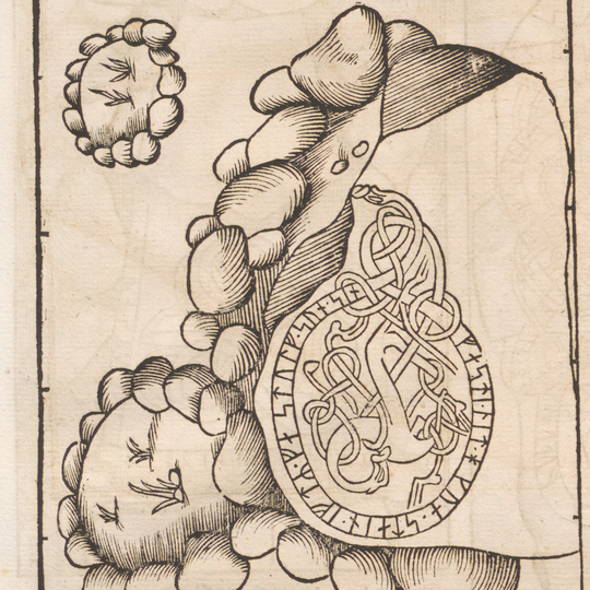 Uppland Runic Inscription 244