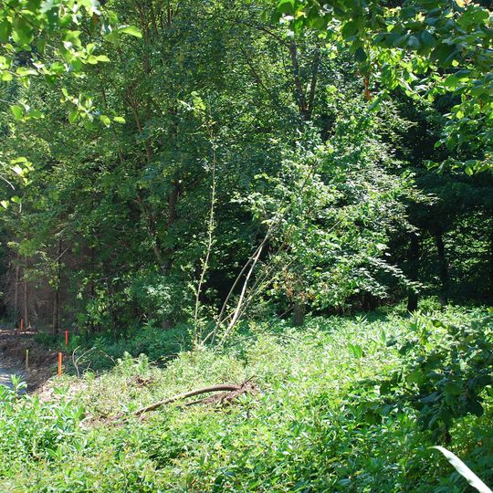 Grabhügel in Kresbach