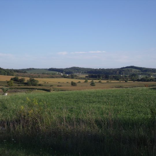 Licking Township