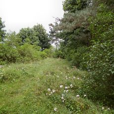 Cmentarz ewangelicki w Laskowie