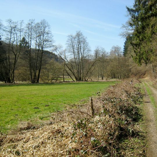 Dürschbachtal