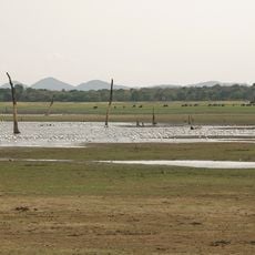 Minneriya National Park