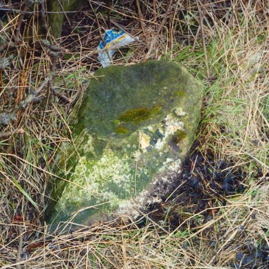 Milestone, 40 Metres West Of West Whorley  Hill Farmhouse