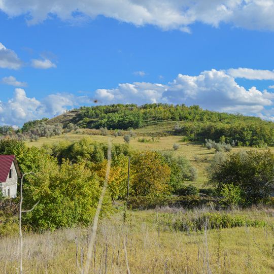Costești V settlement