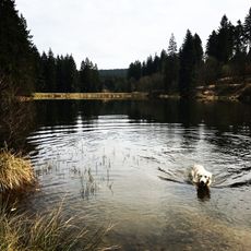 Unterer Hahnebalzer Teich