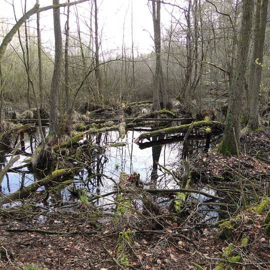 Wald- und Kleingewässerlandschaft südlich von Teterow