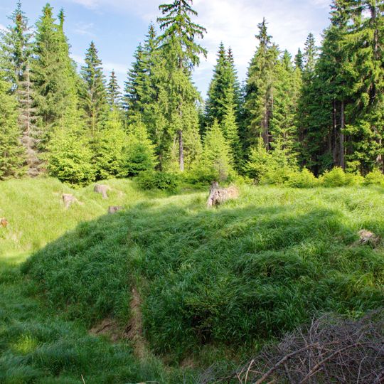 Tvrziště Kaiserruhe