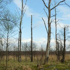 Nature reserve Zabór