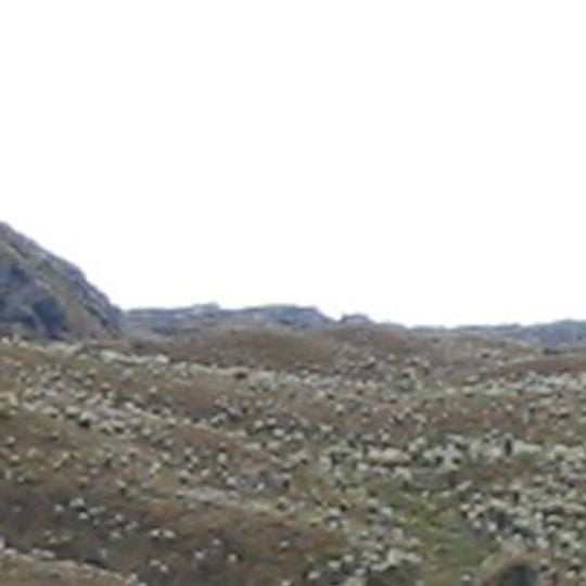 Dipartimento di Meta