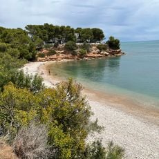 Platja dels Capellans