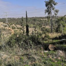 נוף יפה בכיוון צפון