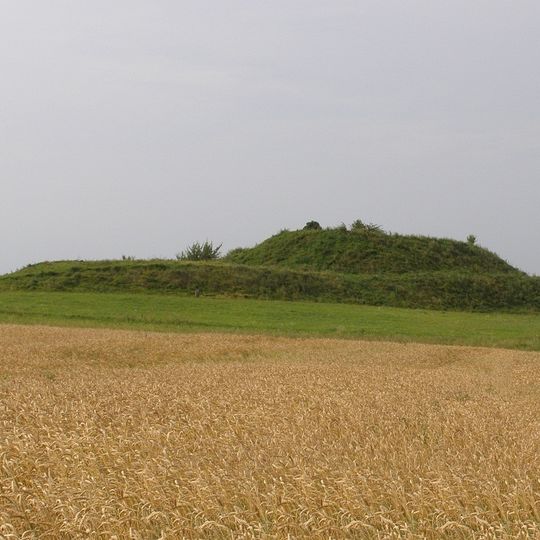 Padovinys hillfort