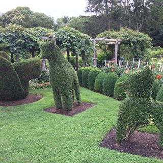 Green Animals Topiary Garten