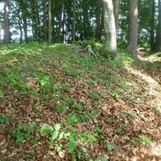 Burgstall Holzöster