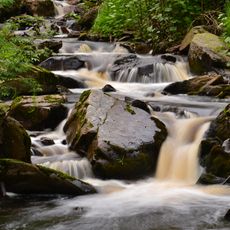 Prírodný park Údolí prunéřovského potoka