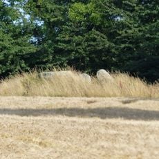 Passagegrave of Jættedal