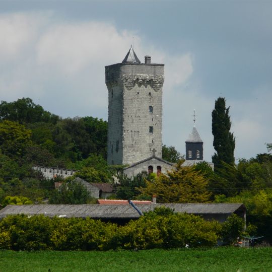 Donjon de Curçay-sur-Dive