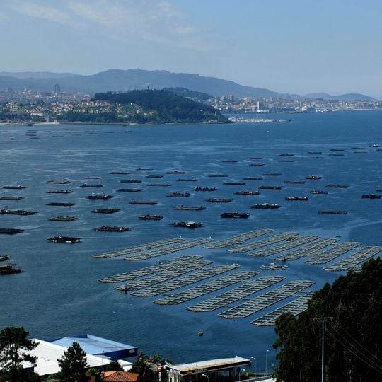 Ria de Vigo