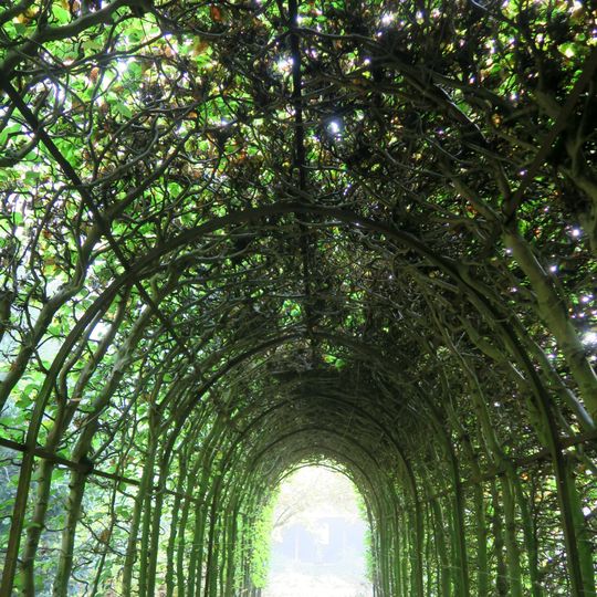 De Wiersse: charmille met kommetje en tuinbank