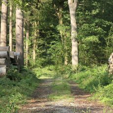LSG-Reichswald