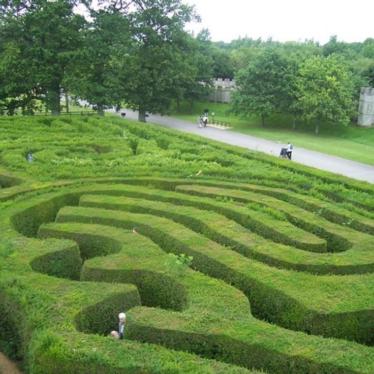 Hedge Maze at Longleat House