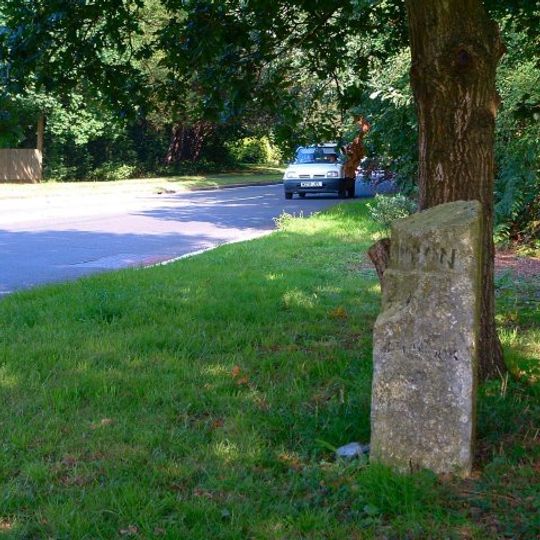 Milestone, The Shrubs