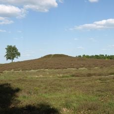 Bretziner Heide