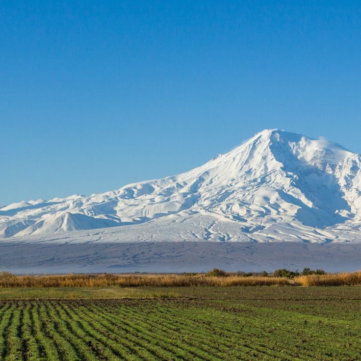 Ararat