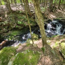 Codfish Falls